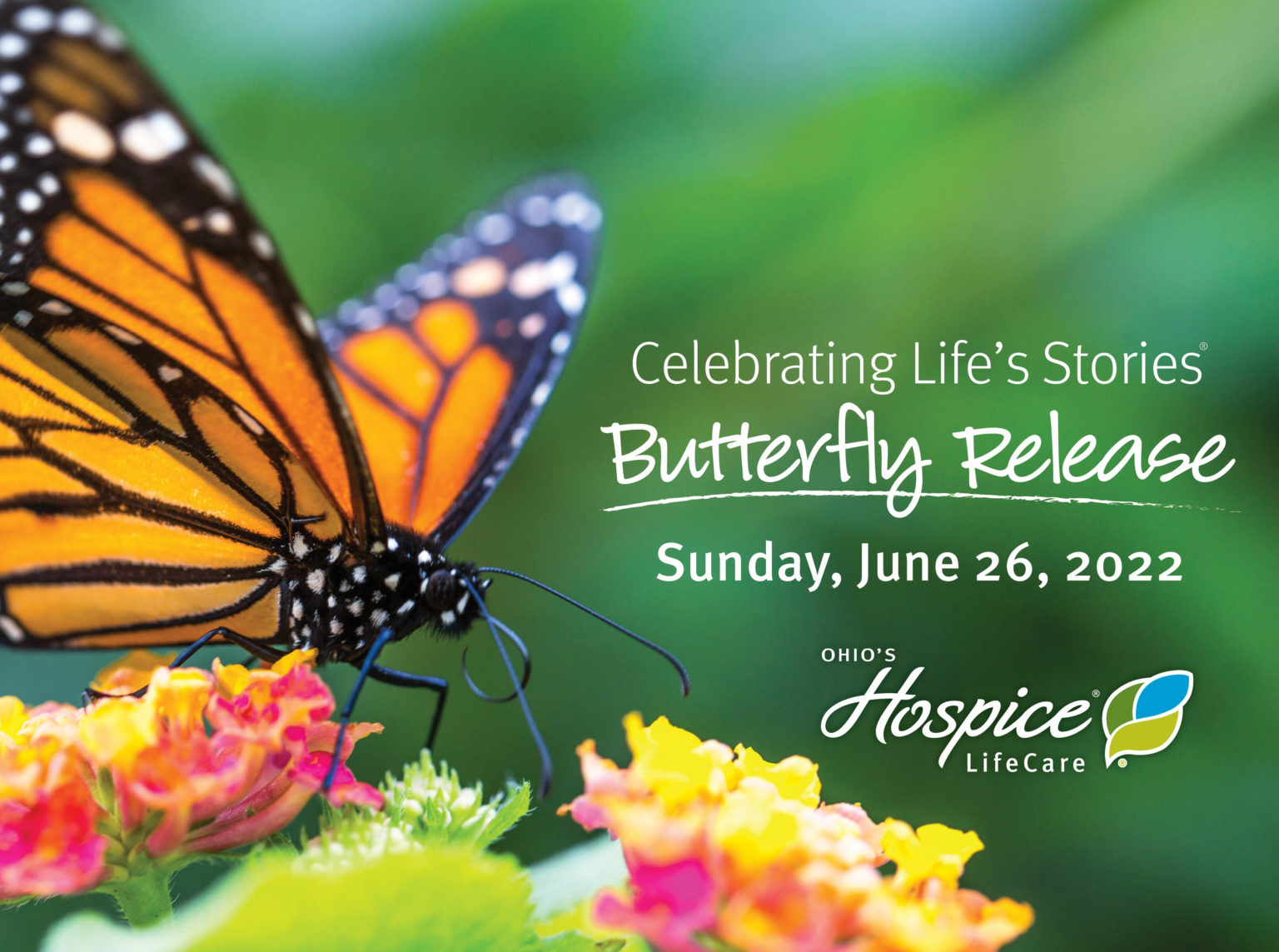 Ohio's Hospice LifeCare to Hold Butterfly Release on June 26
